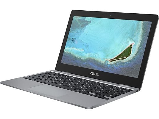 ASUS Chromebook (C223NA-GJ0006)