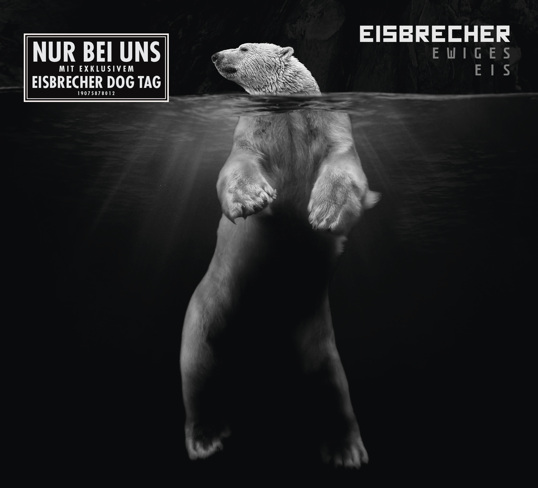 Ein Eisbär steht im Wasser, mit Text über einen Eisbrecher und dem Wort "Eis".