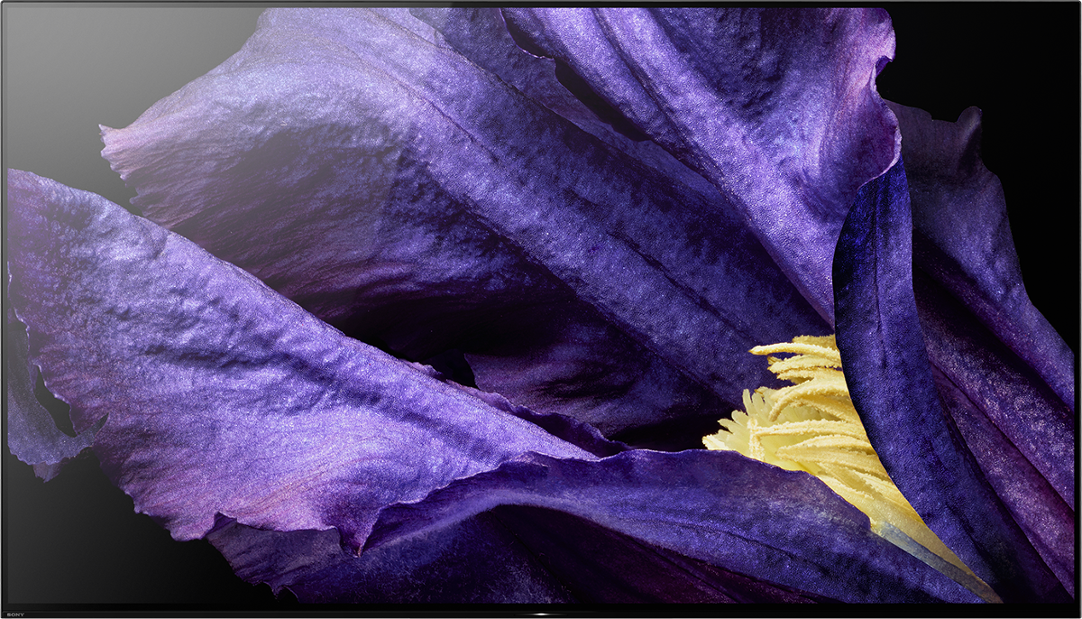 SONY KD-65AF9 - TV (65 ", UHD 4K, OLED)