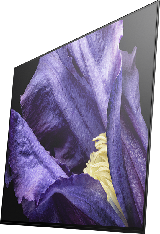 SONY KD-65AF9 - TV (65 ", UHD 4K, OLED)