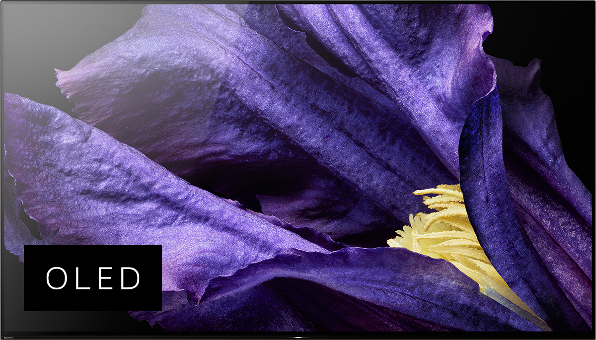 SONY KD-65AF9 - TV (65 ", UHD 4K, OLED)
