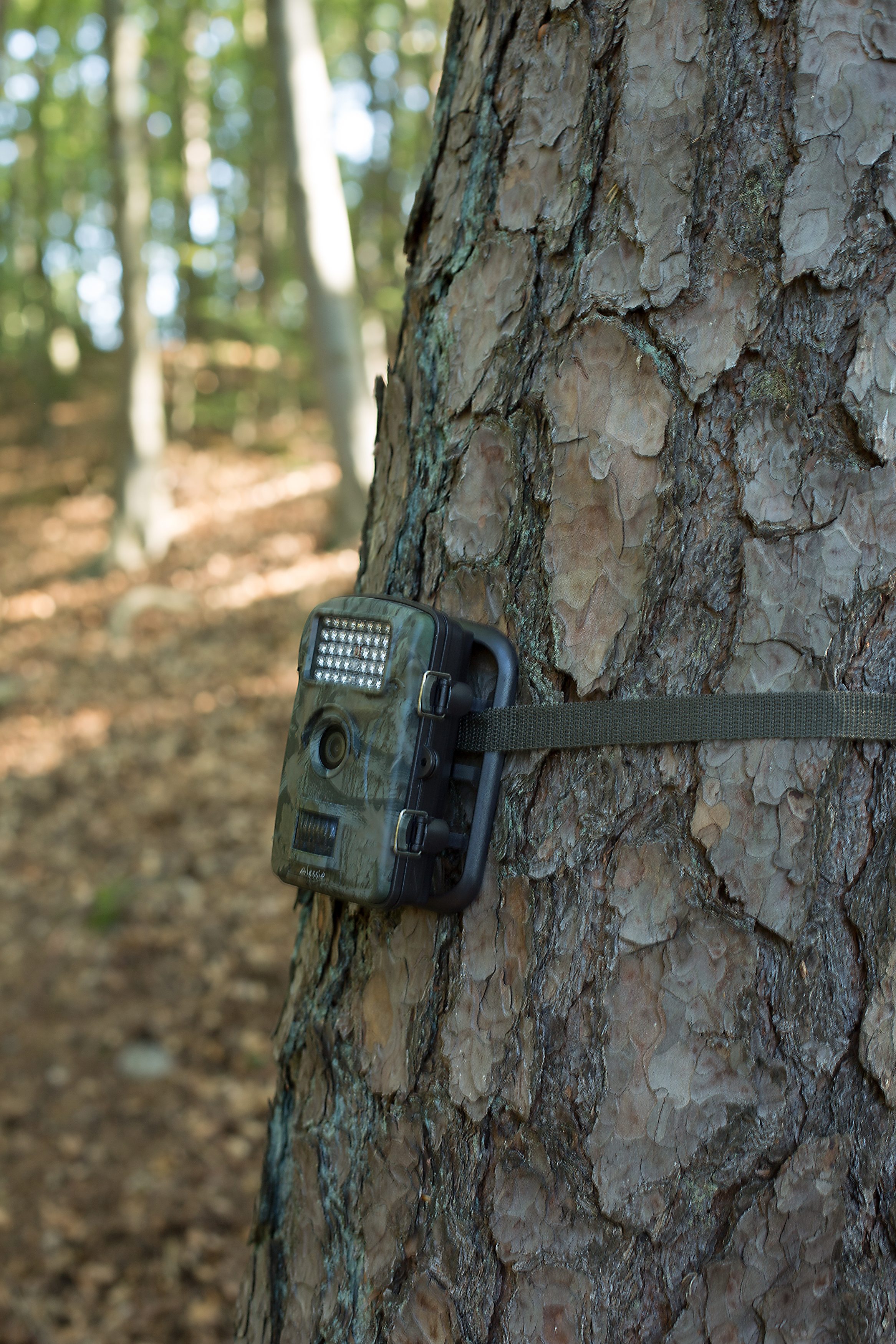 ALESSIO HC4 Wildkamera Camouflage, Nein opt. Zoom, TFT-Farbdisplay