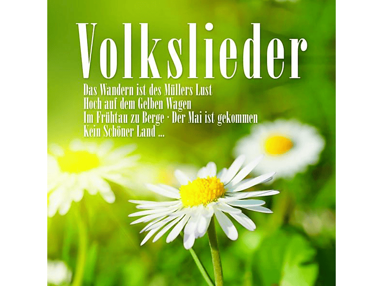 VARIOUS - Volkslieder - (CD)