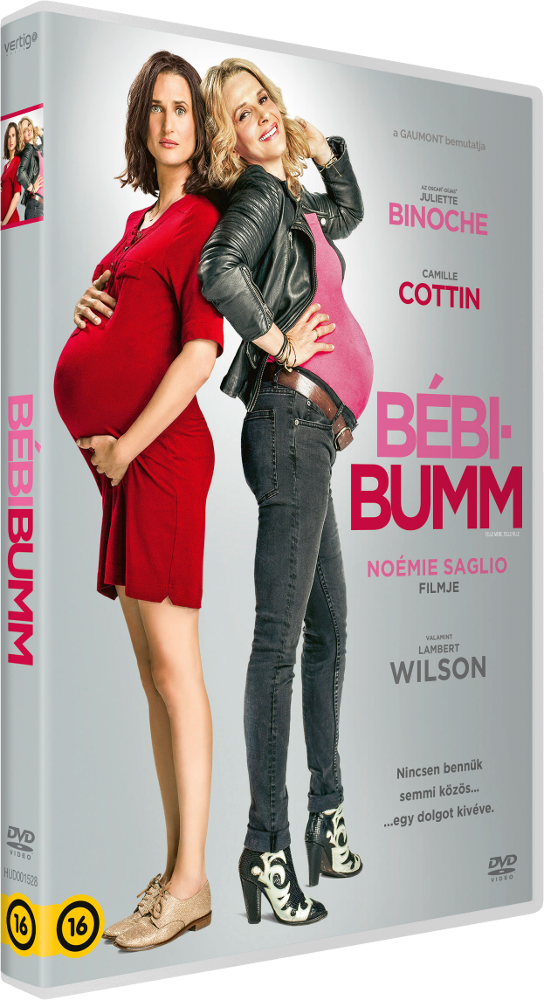 Bébibumm (DVD)