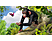 Zoo Tycoon - Ultimate Animal Collection - PC - Französisch, Italienisch