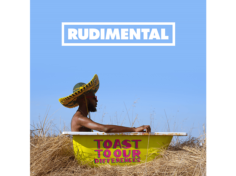 Rudimental - Toast to our Differences Vinyl