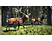 theHunter: Call of the Wild - Edition 2019 - PC - Deutsch