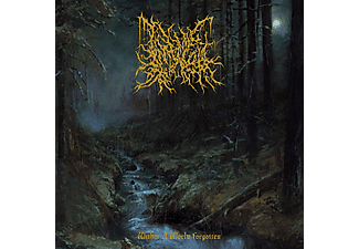 Infernal Coil - Within A World Forgotten (CD)