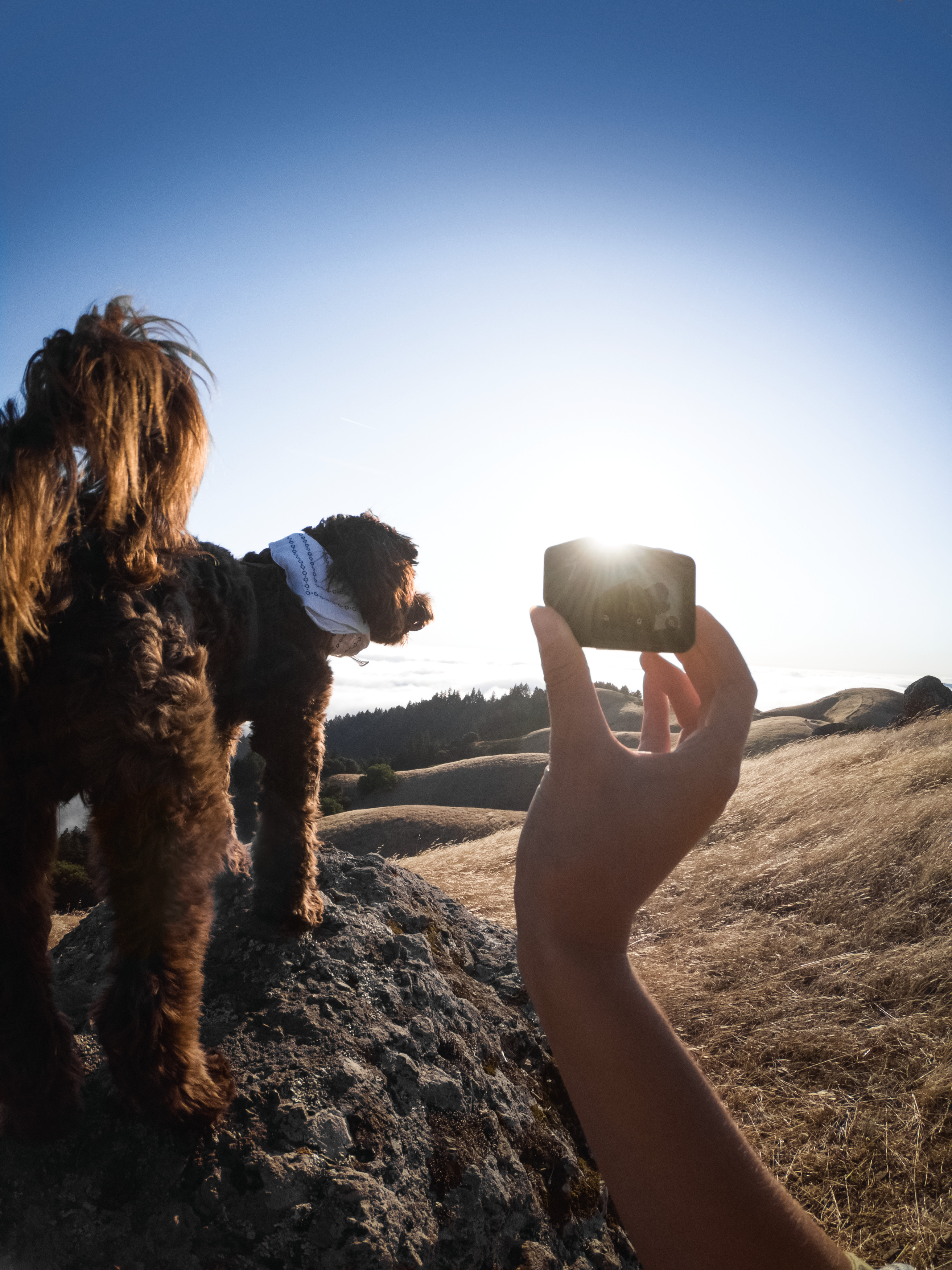 GOPRO HERO7 Black Action Cam , WLAN, Touchscreen