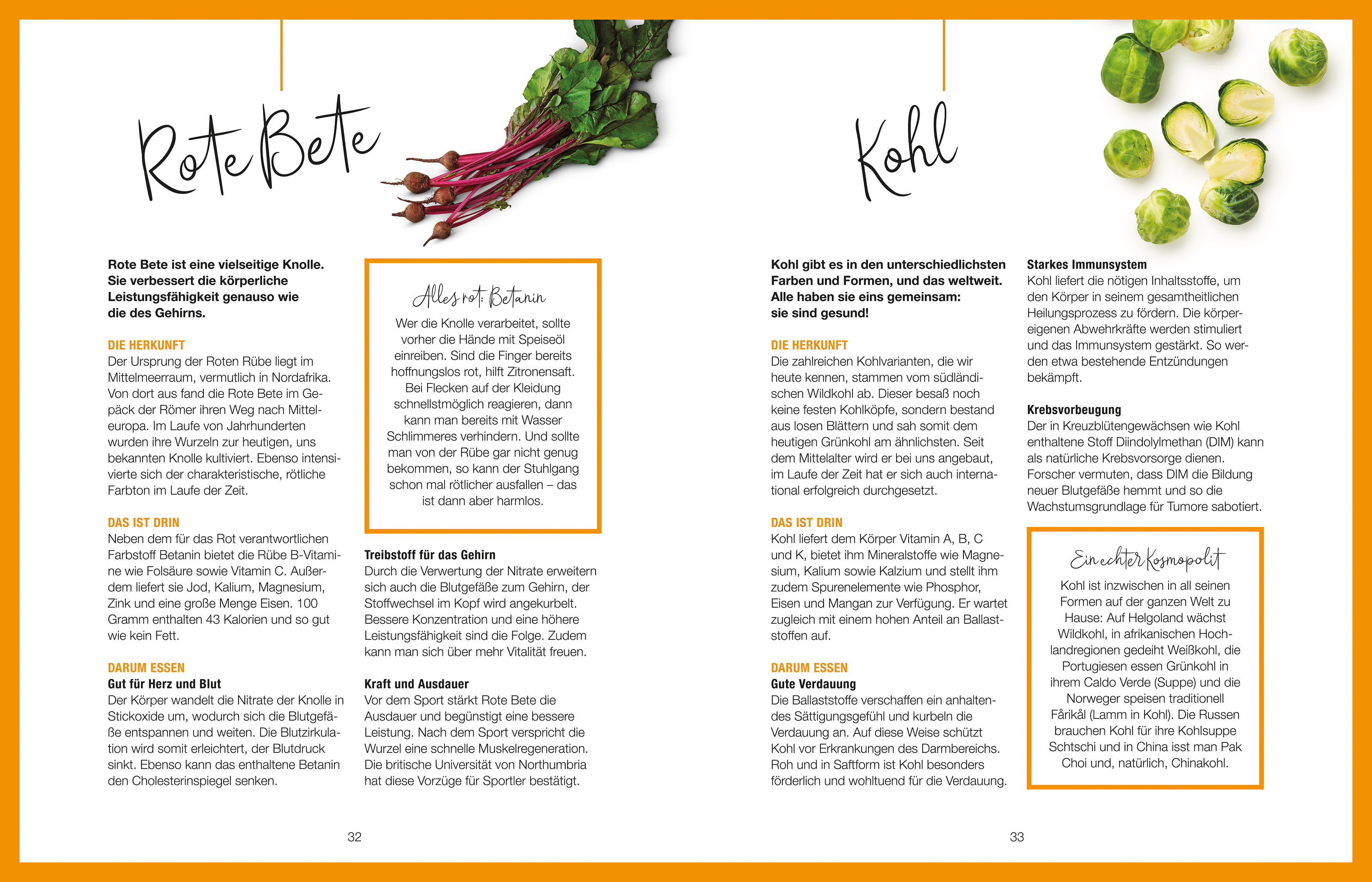 Seite mit deutschem Text über Rote Bete und Grünkohl, mit Illustrationen.