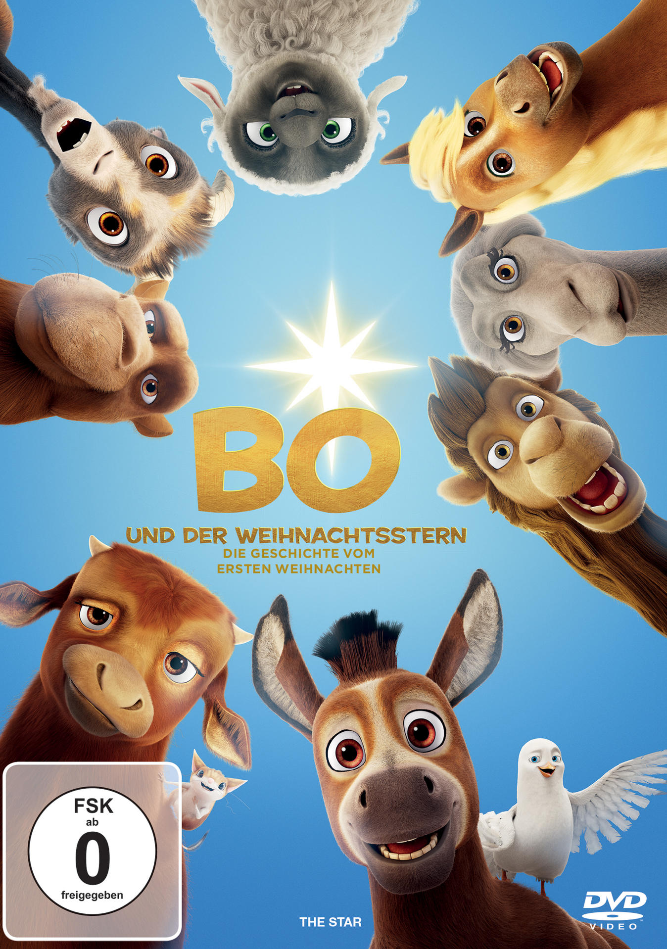 Bo und der Weihnachtsstern DVD | MediaMarkt