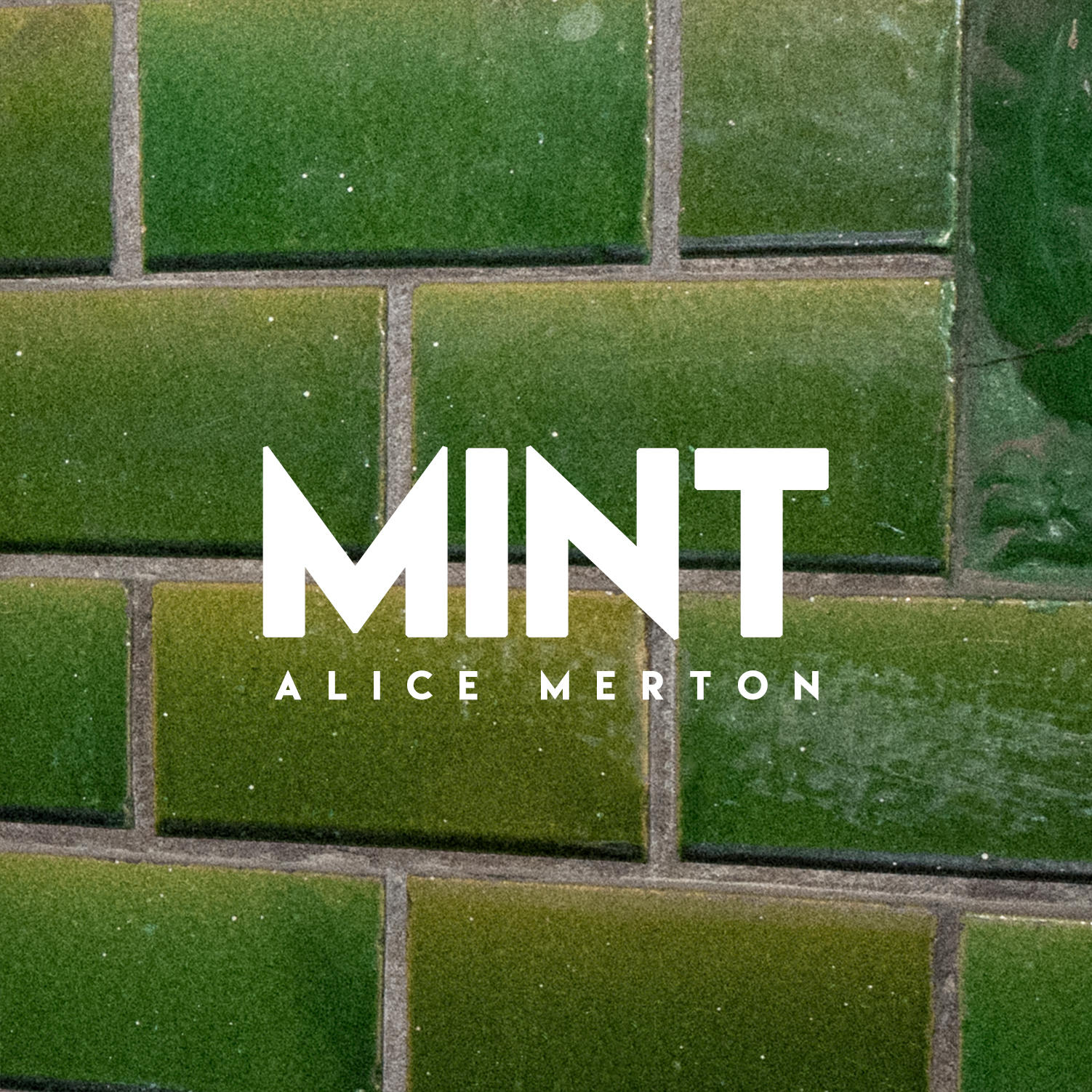 Alice Merton - Mint  - (Vinyl)