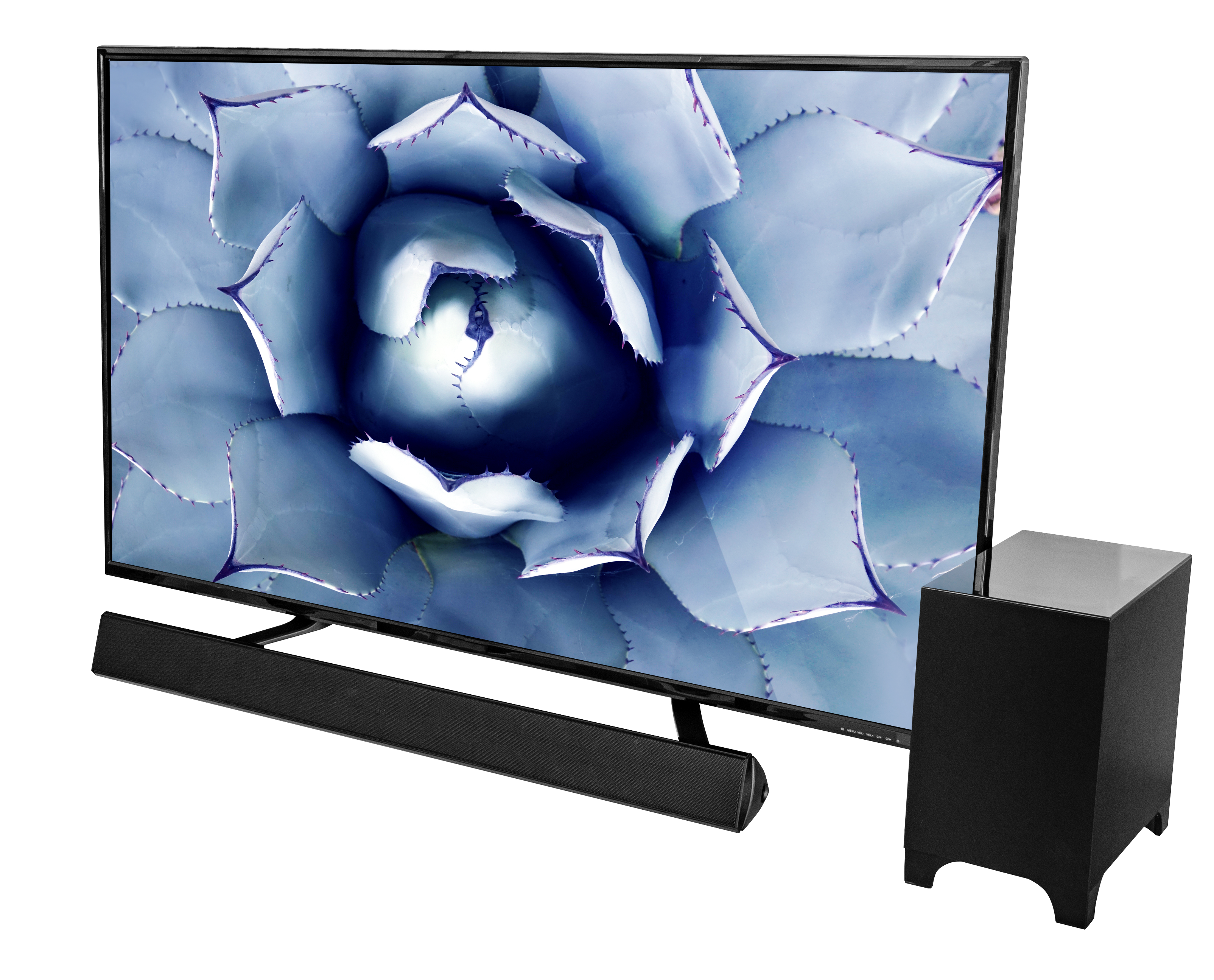 Großer Fernseher mit blauem Blumenbild, Soundbar und Subwoofer.