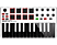 AKAI MPKMINI MK2 - Clavier et contrôleur de pad (Noir/Blanc)