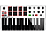 AKAI MPKMINI MK2 - Keyboard und Pad Controller (Schwarz/Weiss)