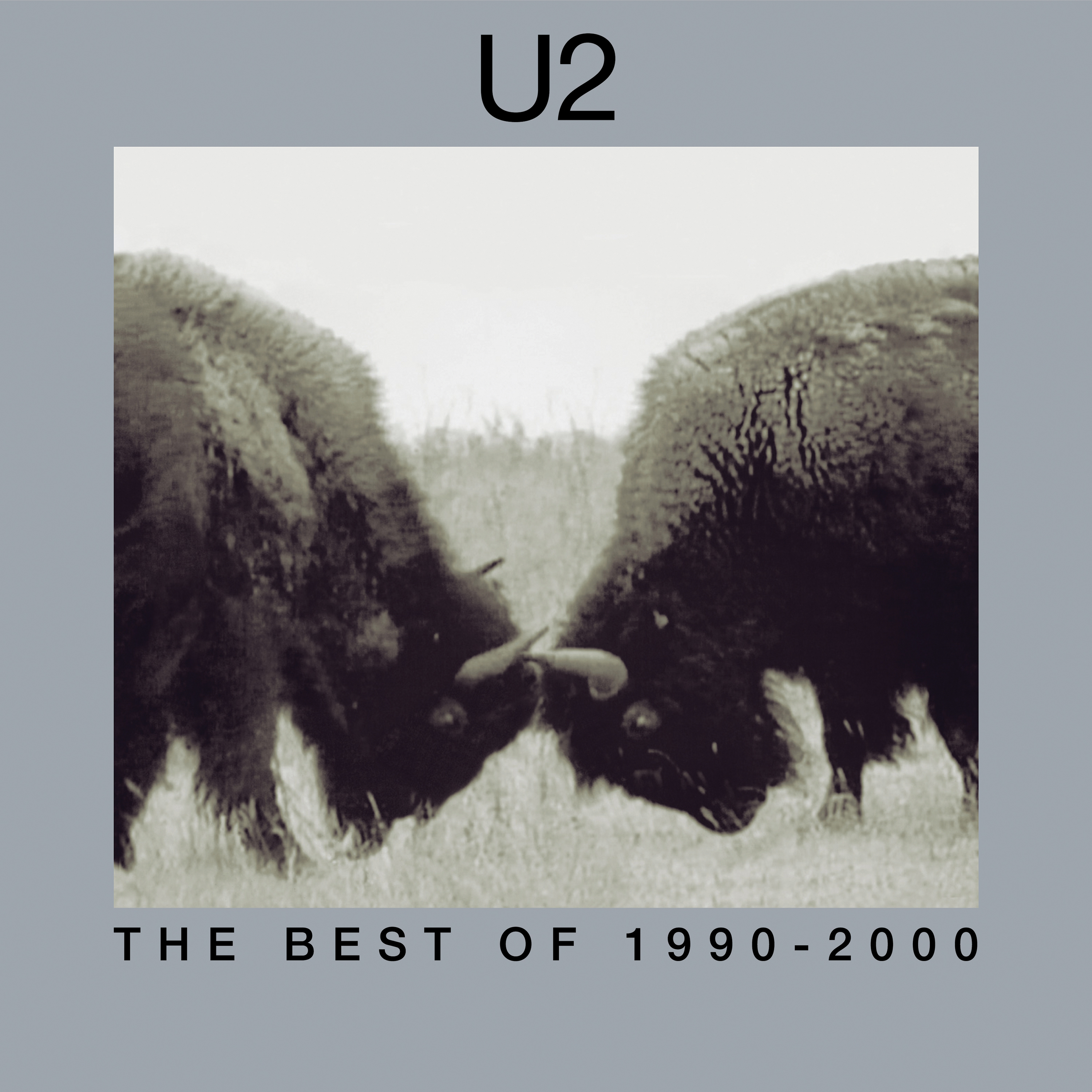 Pochette de l'album U2. Deux bisons se font face. Le texte dit 'The Best of 1990-2000'.
