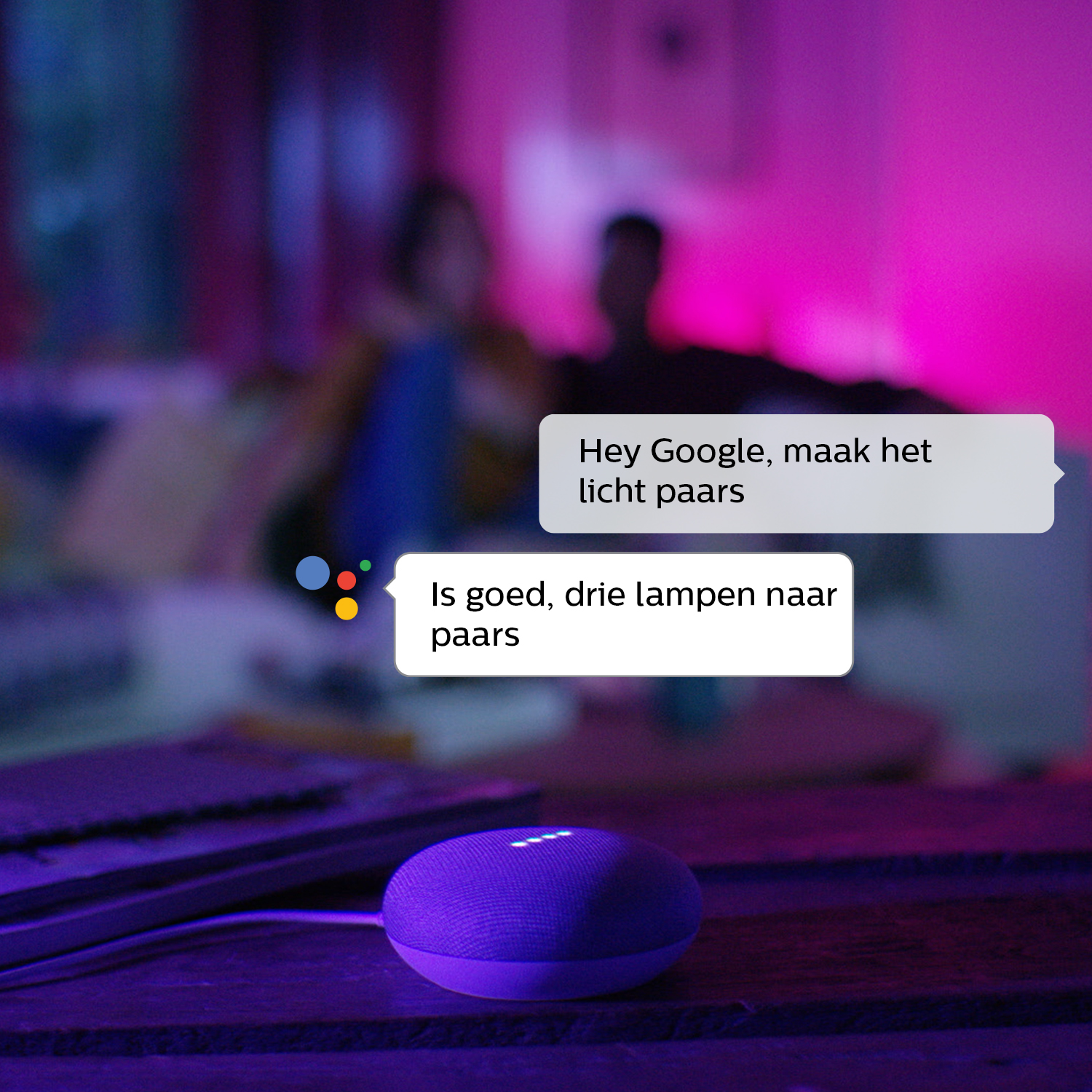 GOOGLE NEST Bundel Google Home Mini + Philips Hue E27 Starterkit