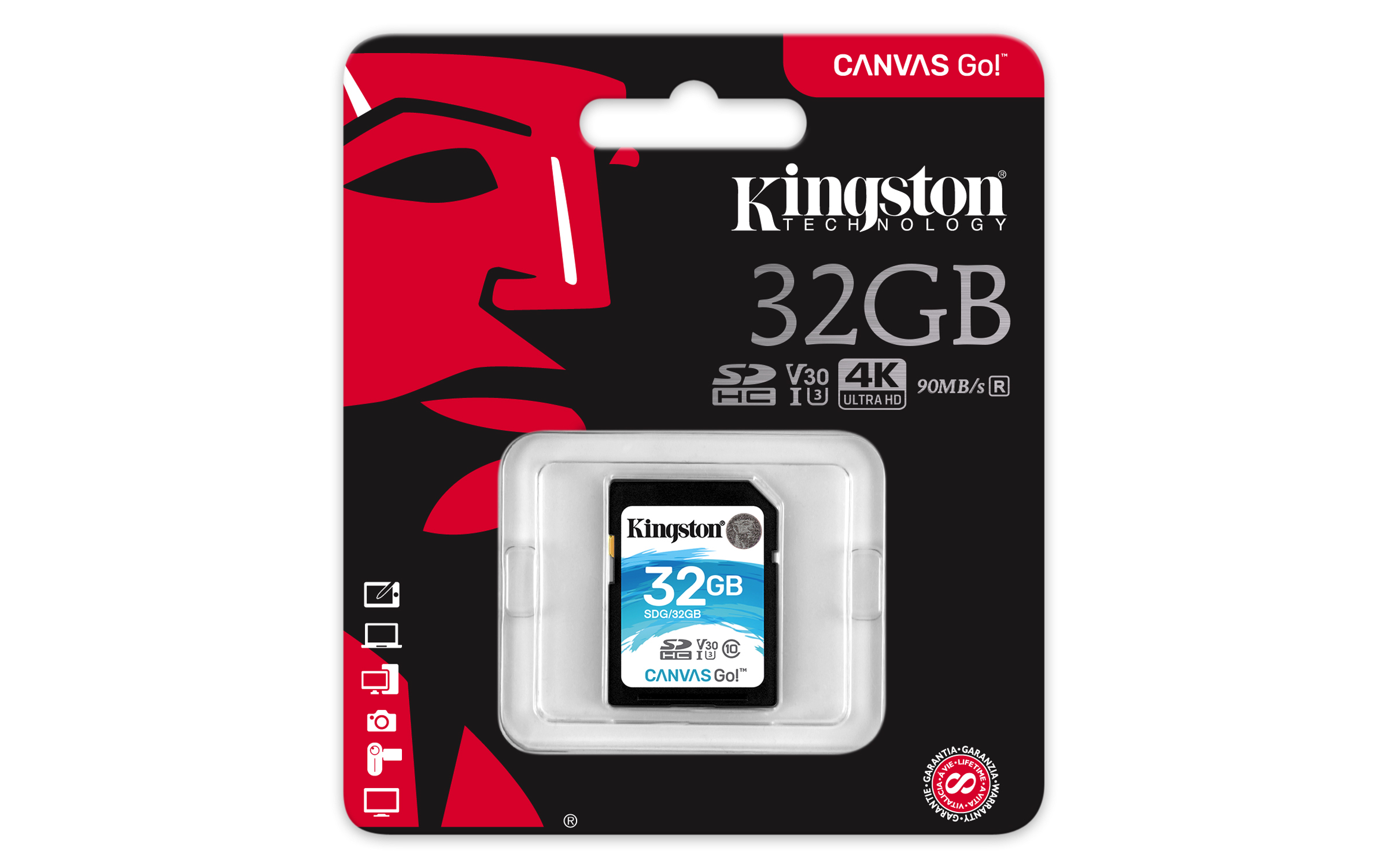 KINGSTON Canvas Go!