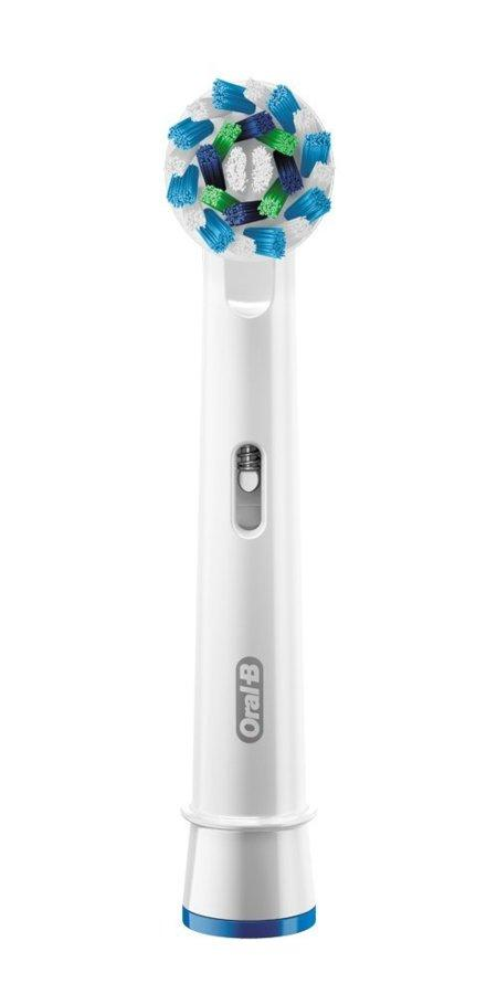 Recambio para cepillo dental - Oral-B EB50-5, 5 unidades