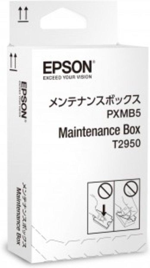 Pack mantenimiento - Epson T2950 Workforce WF-100W