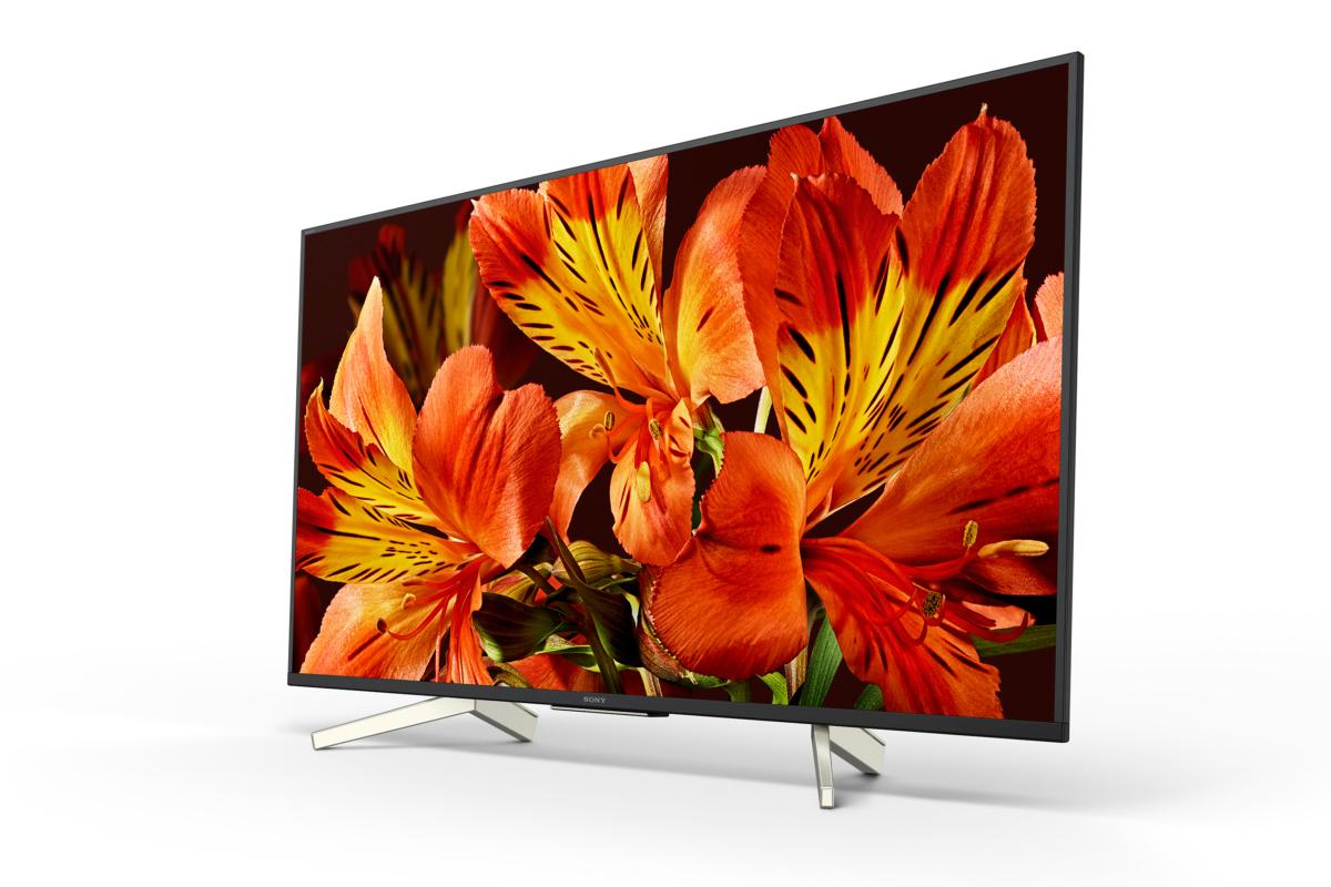 TV LED 49" - Sony KD49XF8596BAEP, Ultra HD 4K HDR, procesador X1, Android TV, Triluminos, 1000Hz,