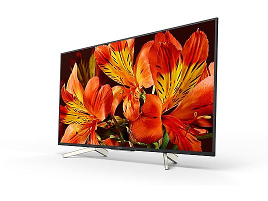 TV LED 49" - Sony KD49XF8596BAEP, Ultra HD 4K HDR, procesador X1, Android TV, Triluminos, 1000Hz,