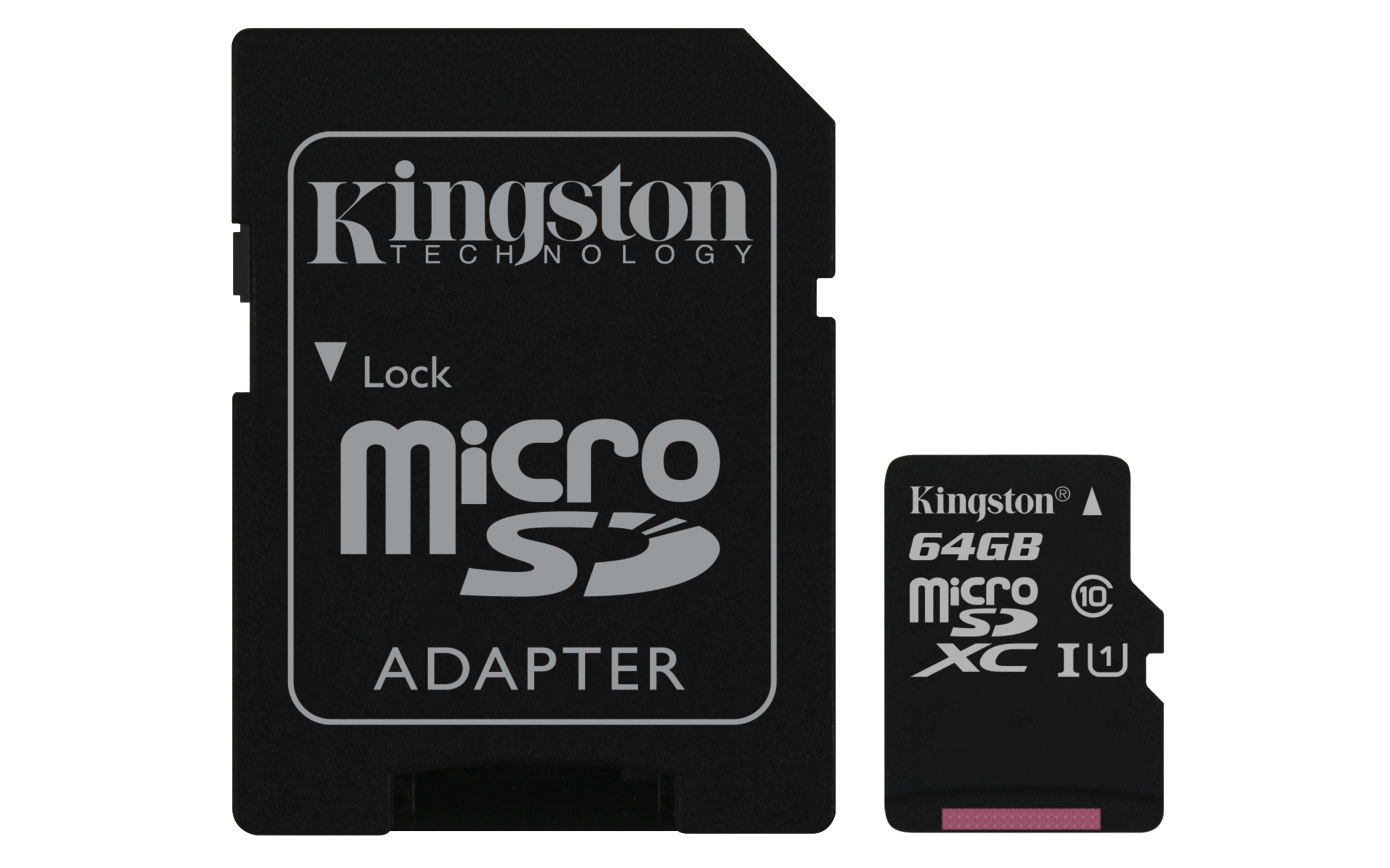 KINGSTON Canvas Select