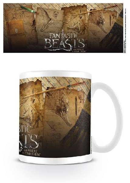 Taza - Pyramid International, Notebook Pages, Fantastic Beasts