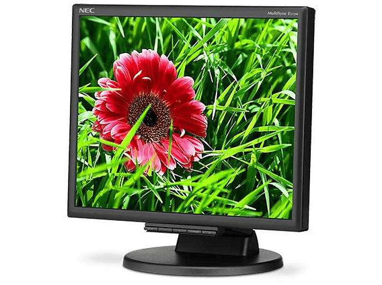 Monitor Ecran PRAEMIUM TY-117 17 Computer Monitor