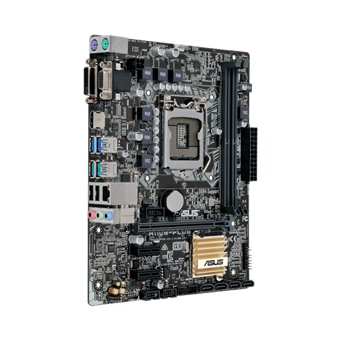 Placa base - ASUS H110M-Plus
