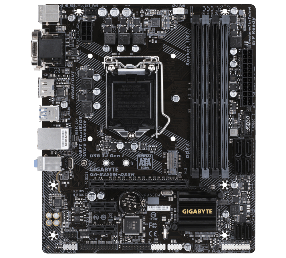 Gigabyte GA-B250M-DS3H Intel B250 LGA1151 Micro ATX placa base