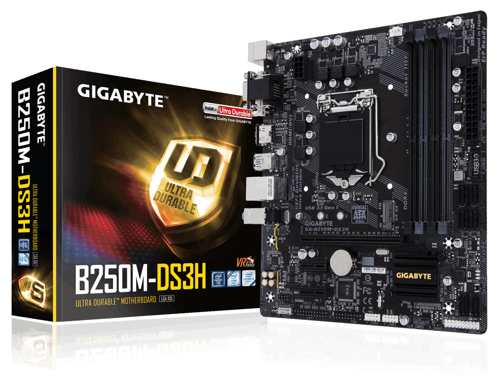 Gigabyte GA-B250M-DS3H Intel B250 LGA1151 Micro ATX placa base