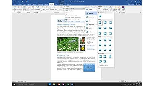 Un documento de Microsoft Word abierto, que muestra una página con texto e imágenes, con el menú 'Efectos de imagen' abierto.