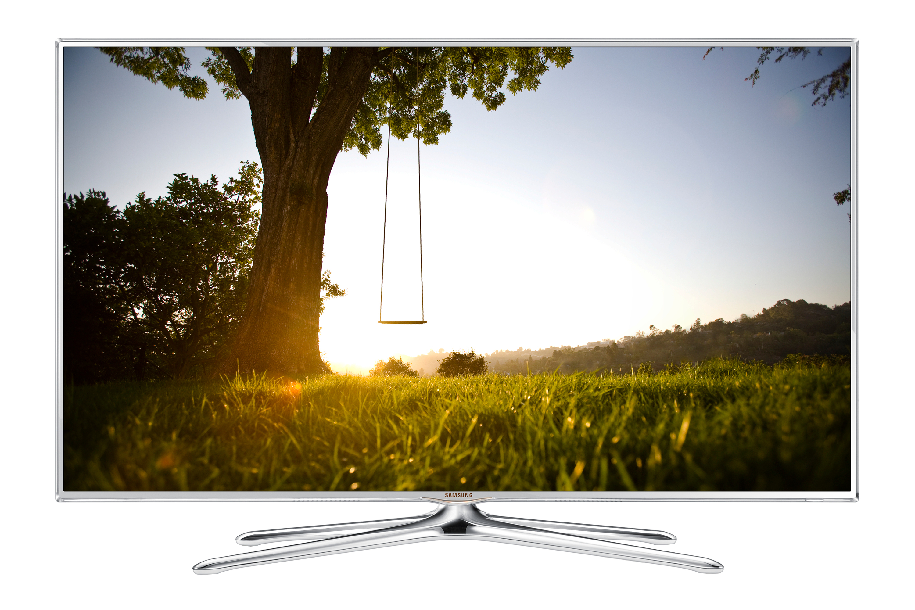 Un televisor de pantalla plana con un árbol y columpio frente a un campo.