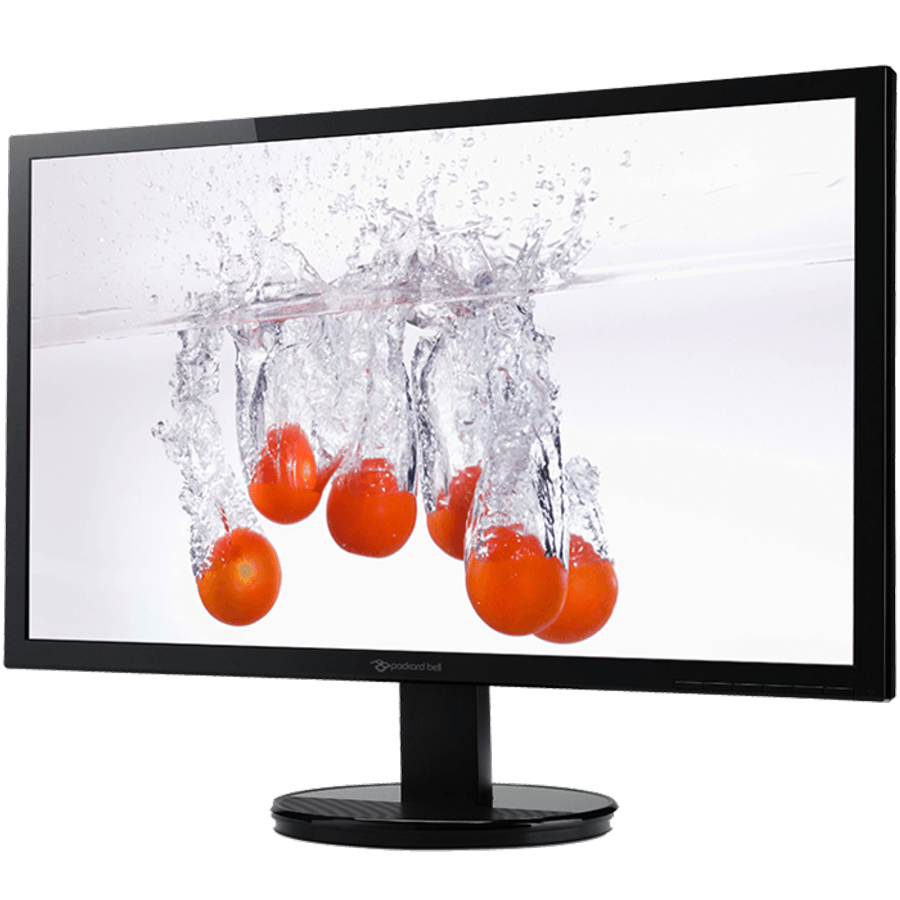 Monitor - Packard Bell Viseo 203DXb, 19 pulgadas