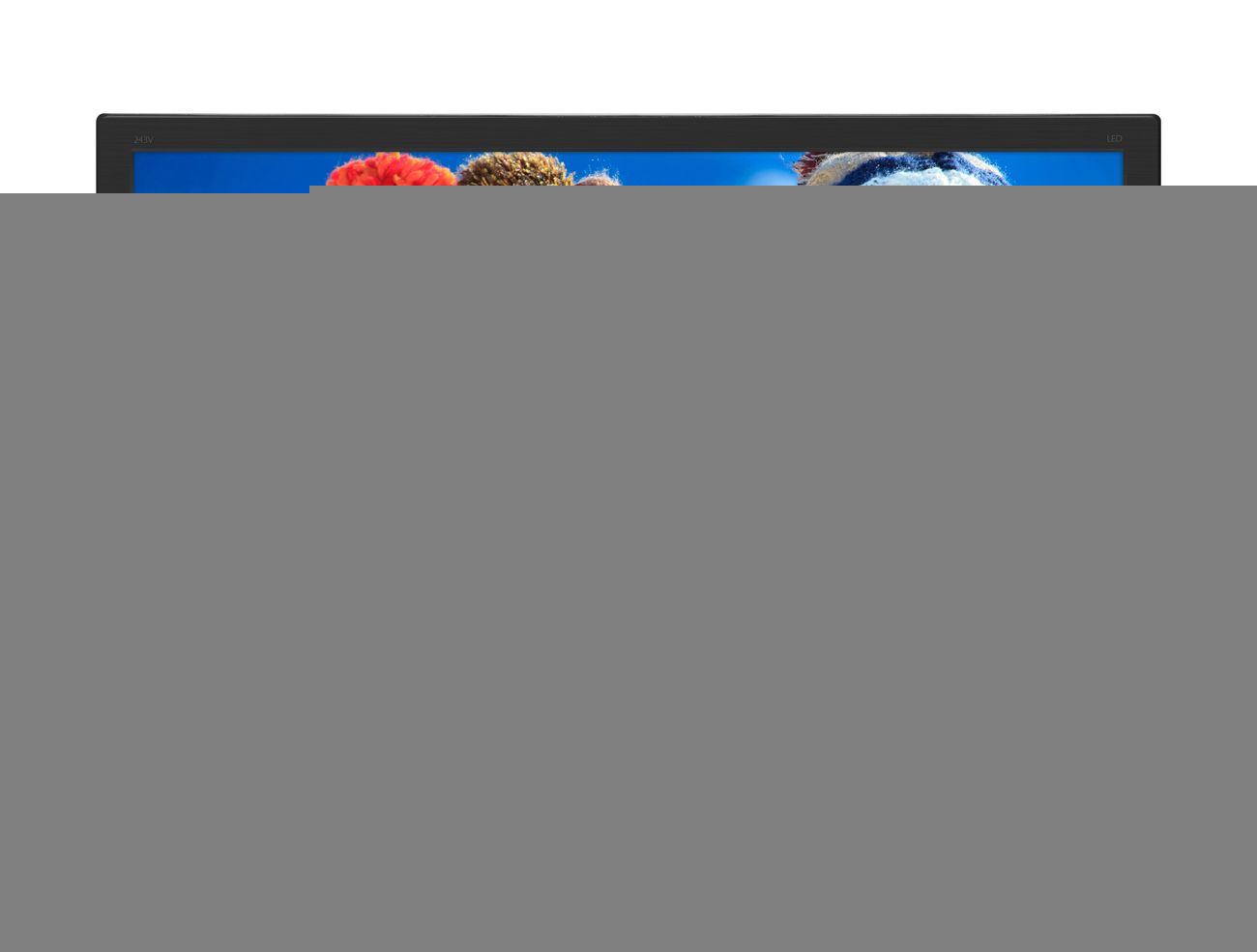PHILIPS 243V5QHAB/00 23.6 inç 4ms W-LED (Analog+DVI+HDMI) Full HD LCD Monitör