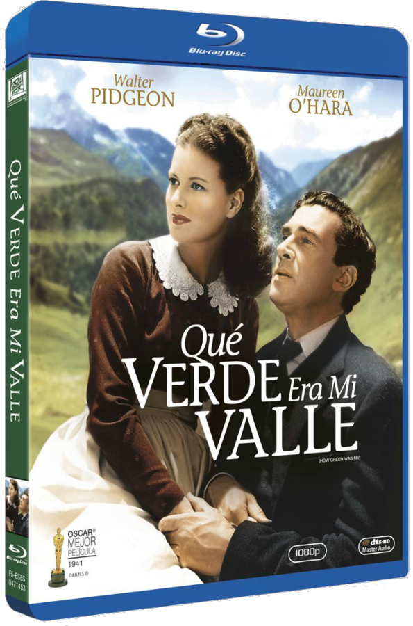 Verde Era Mi valle bluray que