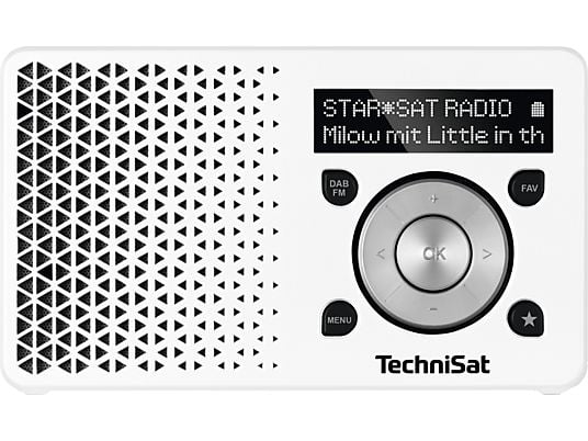 TECHNISAT DIGITRADIO 1 - Radio numérique (DAB+, FM, Blanc/argent)