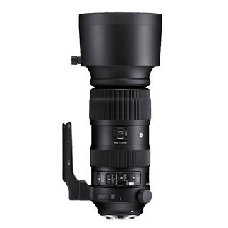 SIGMA 730954 Sports 60 mm - 600 mm 4.5 OS, HSM, DG, IF (Objektiv für Canon EF-Mount, Schwarz)