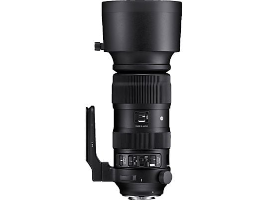 SIGMA EF 60-600mm/F4.5-6.3 DG OS S - Zoomobjektiv(Canon EF-Mount, Vollformat)