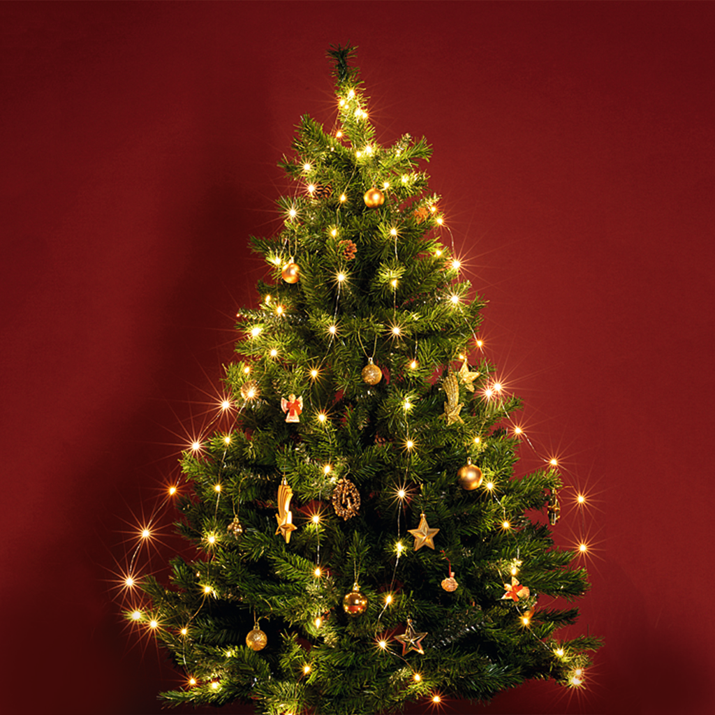 CHRISTMAS LIGHT ML 120/WW LED-s izzósor-csokor, mikroszálas, 6 ágú, 1,9m, IP44, 230V