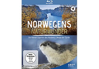 Norwegens Naturwunder: Die kleinen Giganten des Nordens / Magie der Fjorde Blu-ray