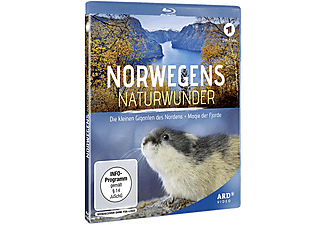 Norwegens Naturwunder: Die kleinen Giganten des Nordens / Magie der Fjorde Blu-ray