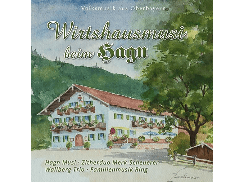 Hagn Musi/Familie Ring/Wallberg Trio - Wirtshausmusik beim Hagn  - (CD)