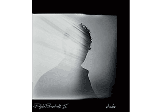 Doyle Bramhall II - Shades (High Quality) (Vinyl LP (nagylemez))