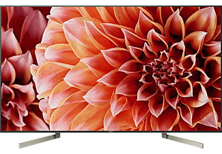 SONY KD-49XF9005 - TV (49 ", UHD 4K, LCD)