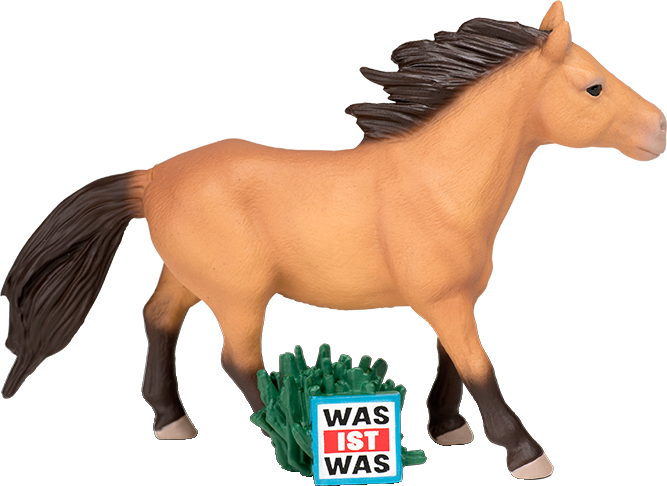 TONIES WAS IST WAS – Wunderbare Pferde / Reitervolk Mongolen - Hörfigur /D (Mehrfarbig)