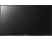 SONY KDL-32WE615 - TV (32 ", HD, LCD)