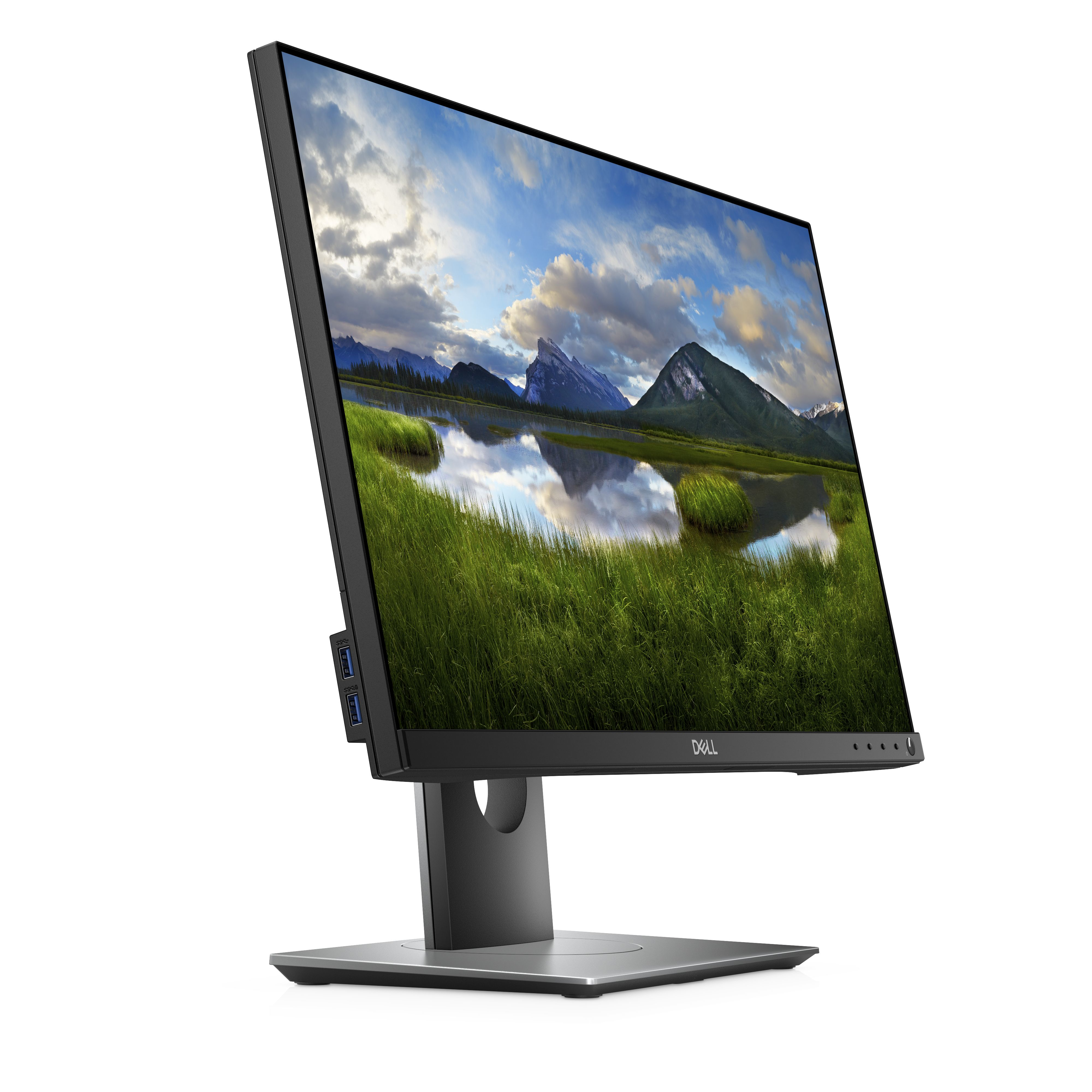 DELL Professional P2418D