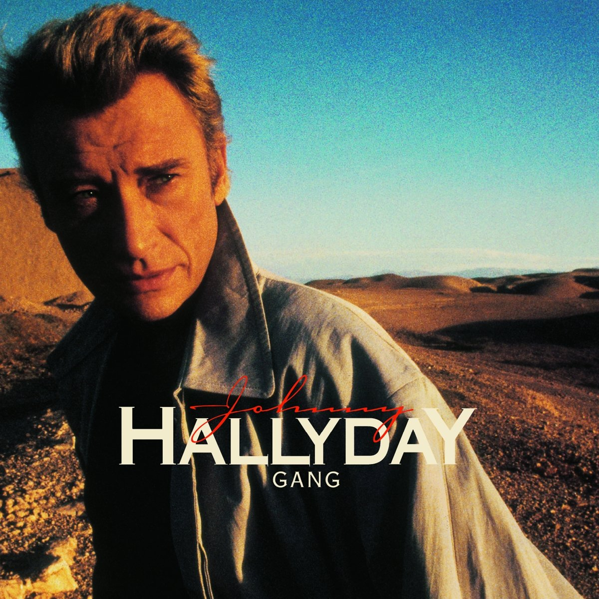 Pochette d'album avec Johnny Hallyday regardant la caméra sur fond désertique avec ciel bleu.